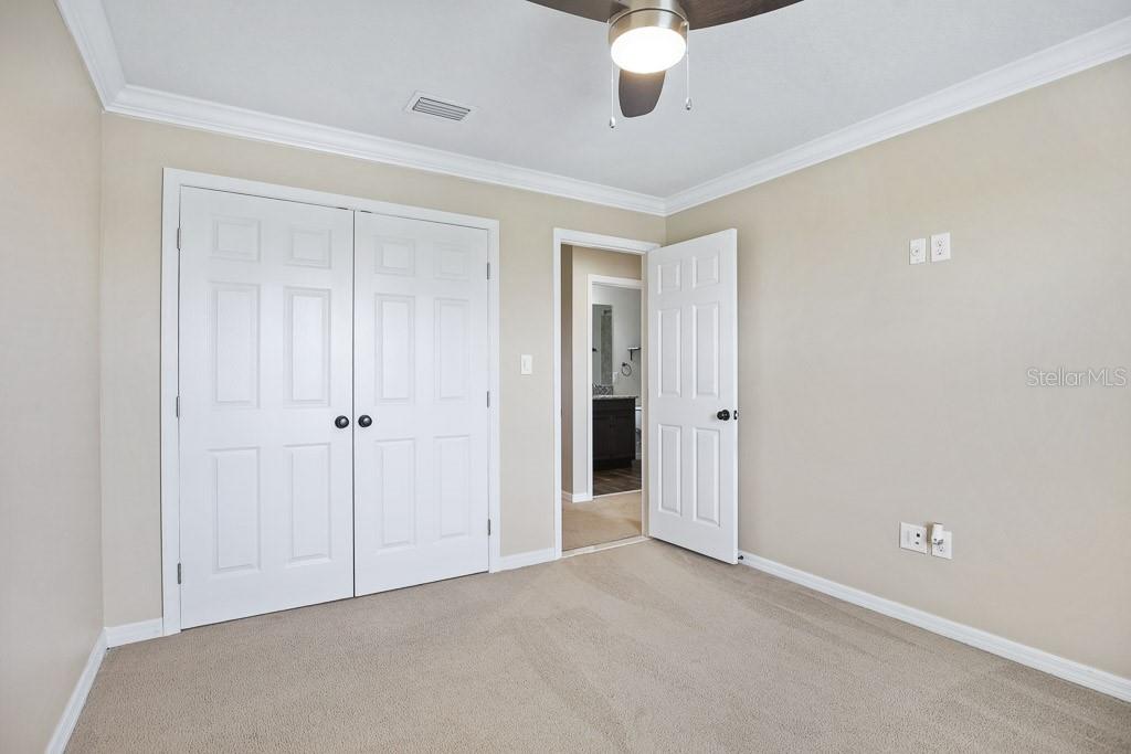 11911 GREENCHOP PL, RIVERVIEW, FL, 33579
