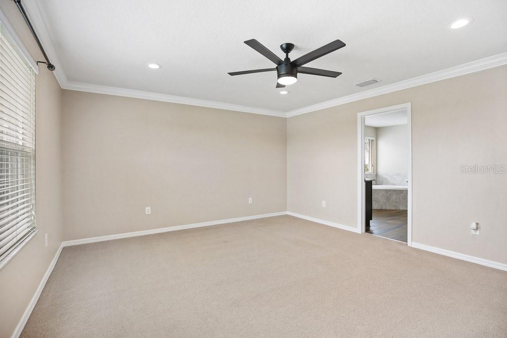 11911 GREENCHOP PL, RIVERVIEW, FL, 33579