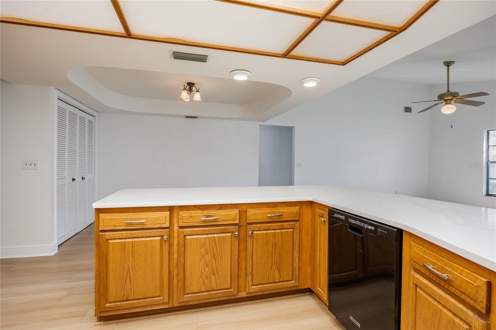 2925 STARMOUNT DR, VALRICO, FL, 33596