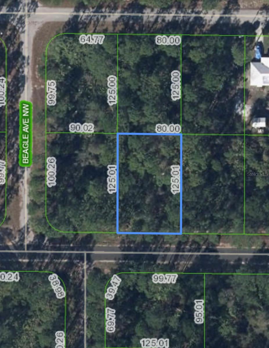 317 CHALLENGER ST NW, LAKE PLACID, FL, 33852
