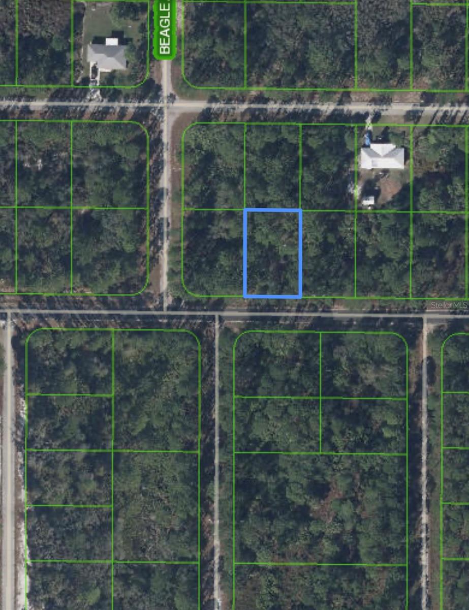 317 CHALLENGER ST NW, LAKE PLACID, FL, 33852