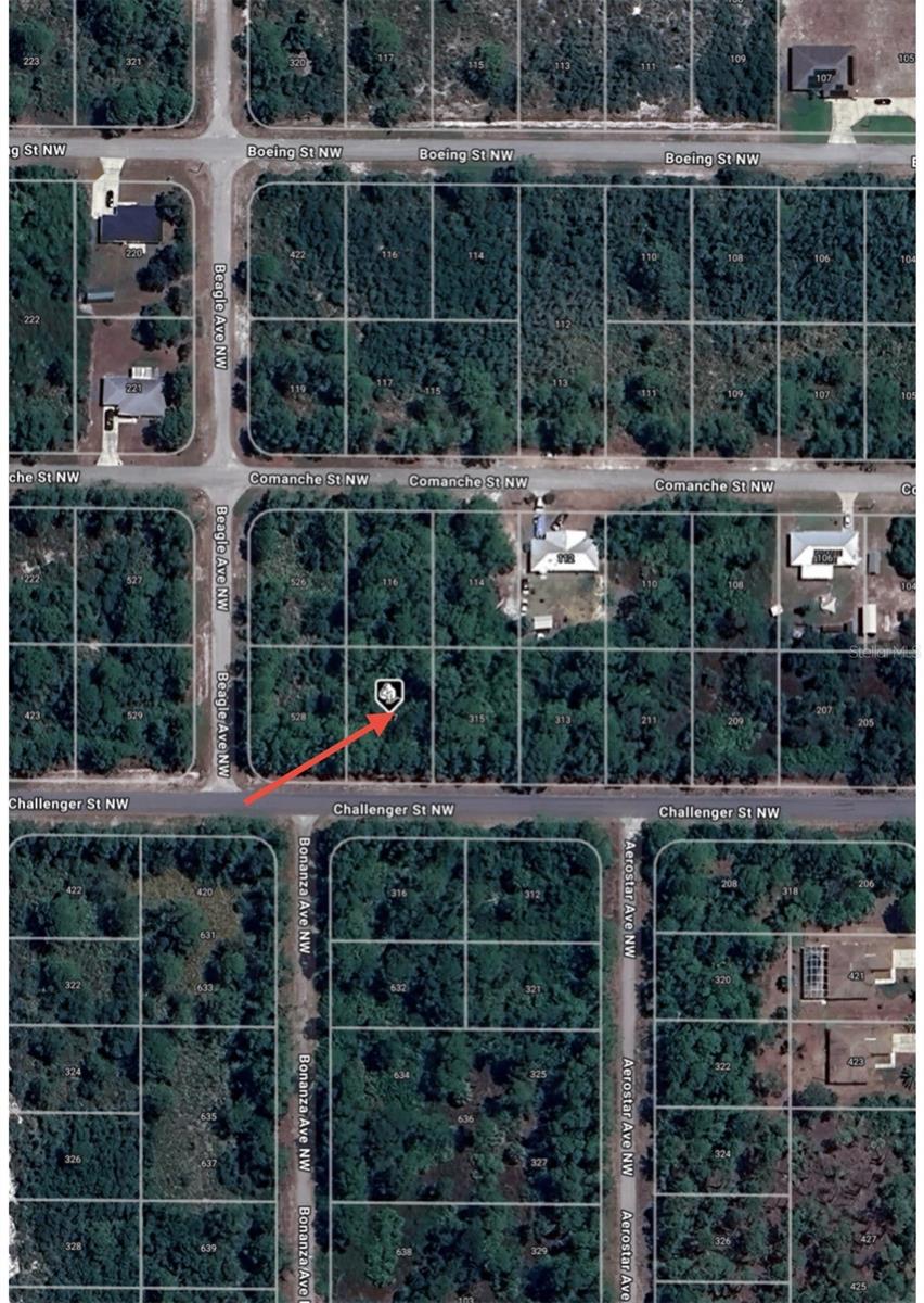 317 CHALLENGER ST NW, LAKE PLACID, FL, 33852