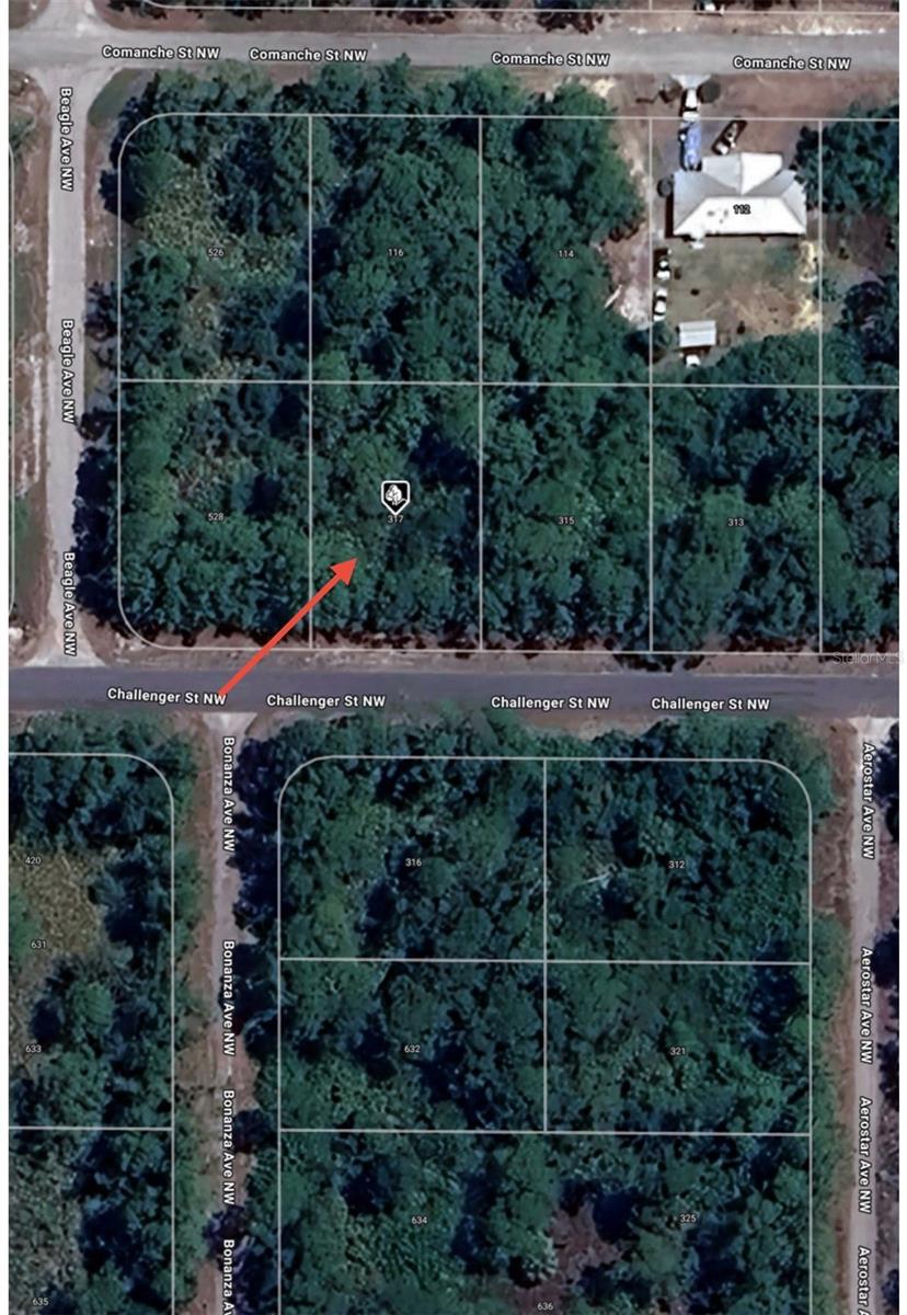 317 CHALLENGER ST NW, LAKE PLACID, FL, 33852