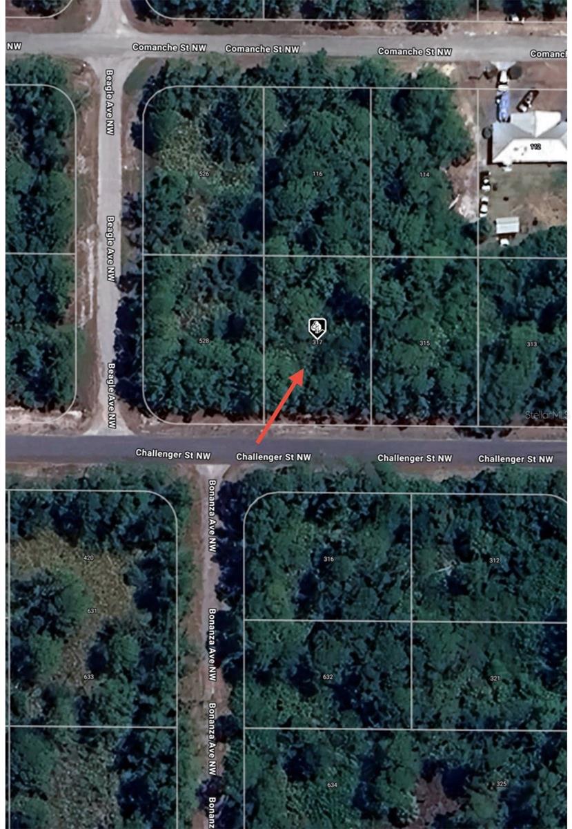 317 CHALLENGER ST NW, LAKE PLACID, FL, 33852