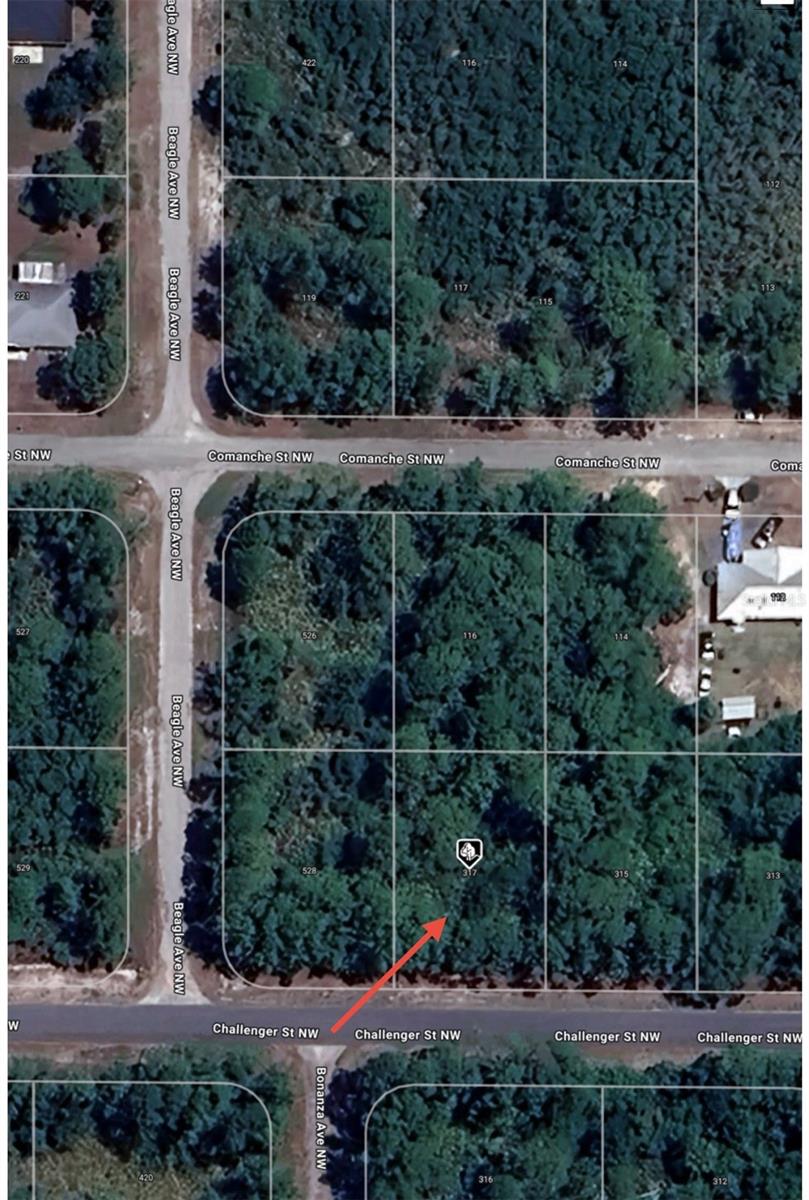 317 CHALLENGER ST NW, LAKE PLACID, FL, 33852