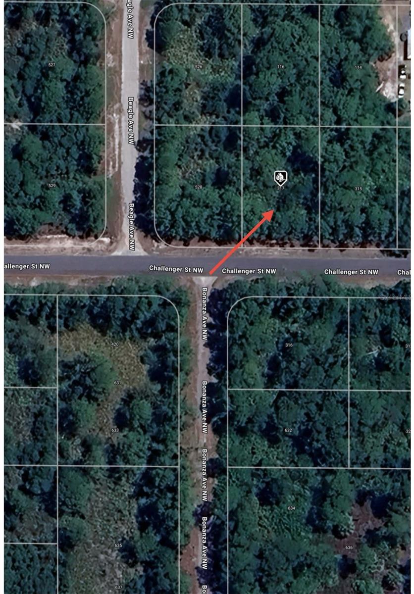 317 CHALLENGER ST NW, LAKE PLACID, FL, 33852