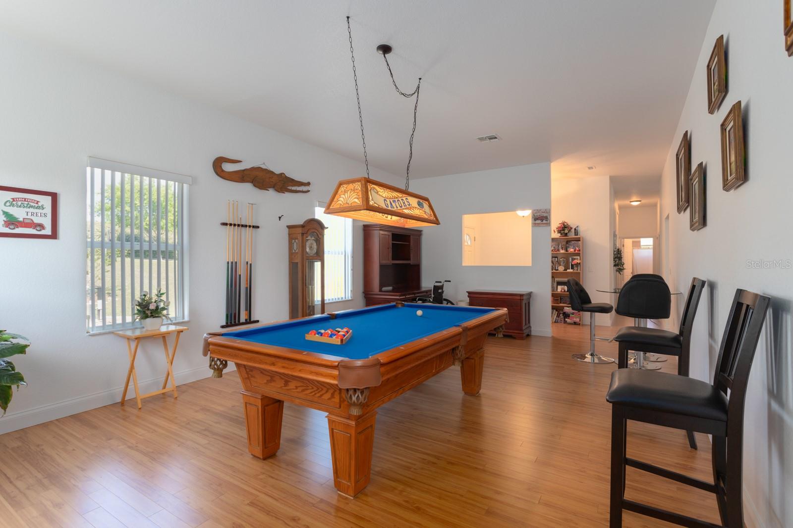 11395 SE 108TH TERRACE RD, BELLEVIEW, FL, 34420