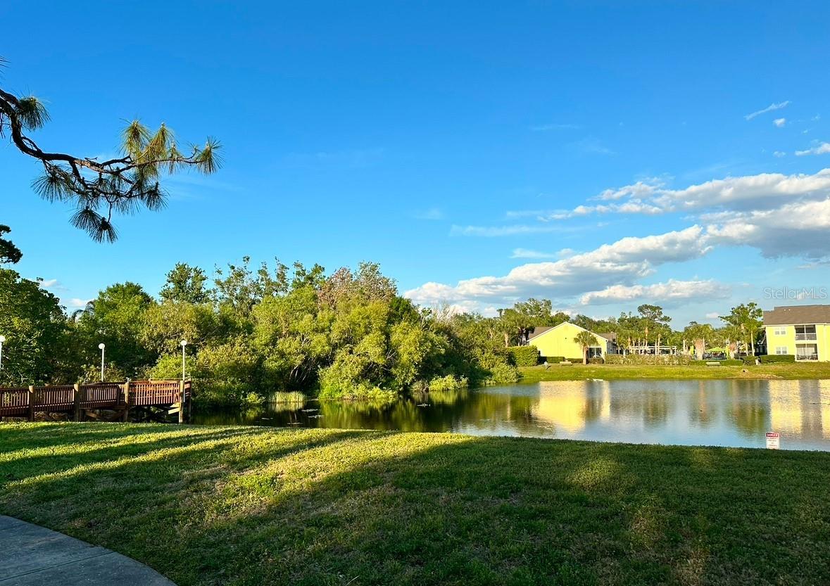 4005 CROCKERS LAKE BLVD #11, SARASOTA, FL, 34238