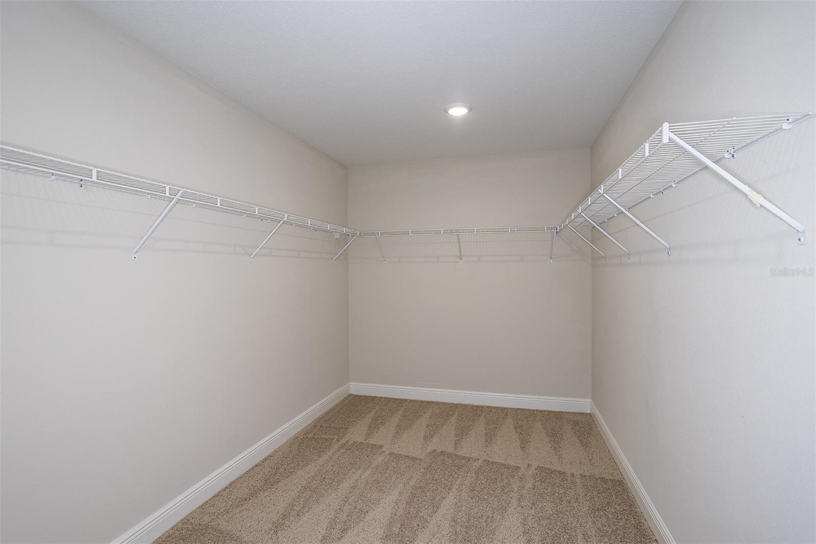10037 SURREY ROSE DR, SAN ANTONIO, FL, 33576