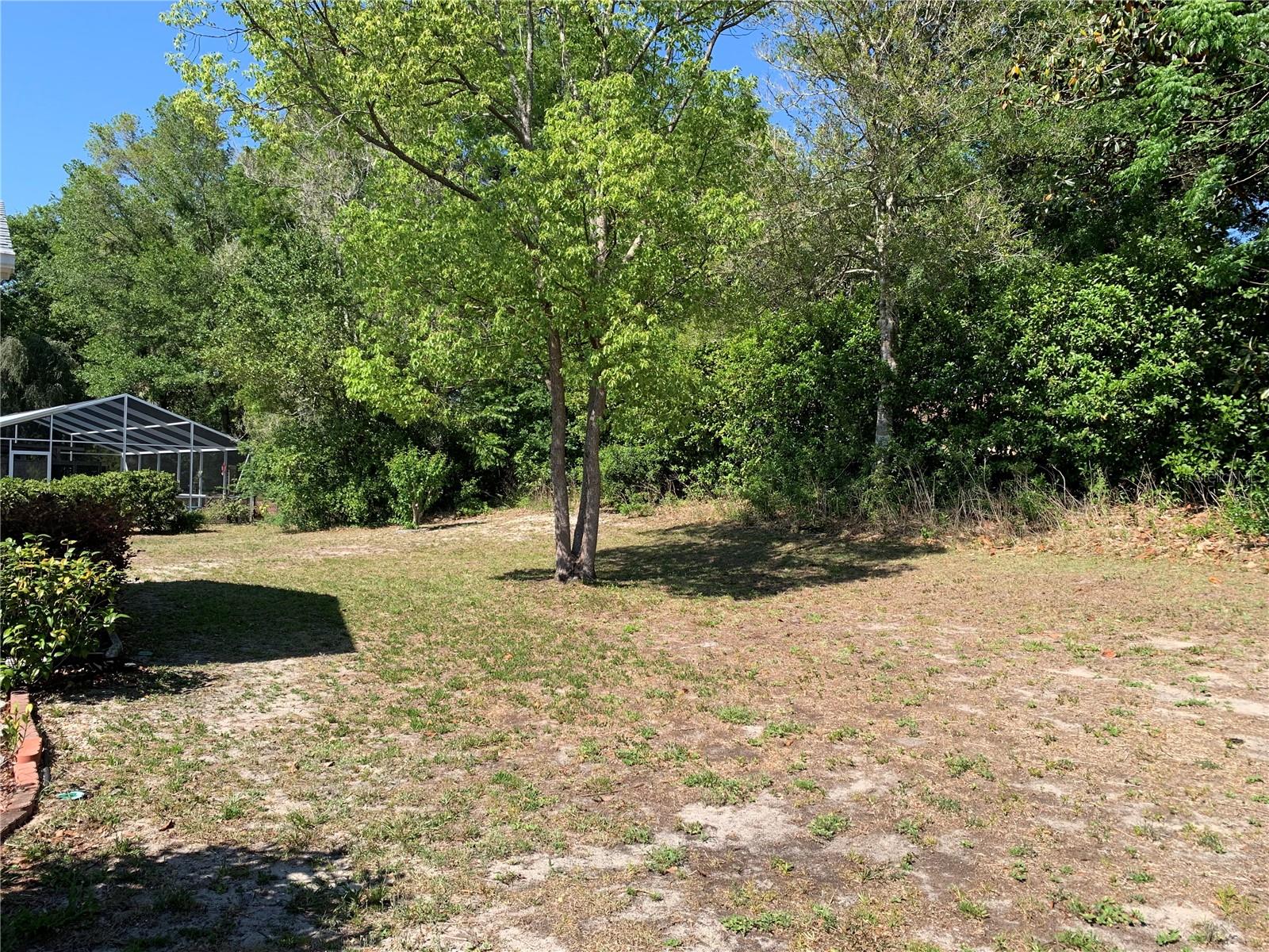 11445 SW 84TH AVENUE RD, OCALA, FL, 34481