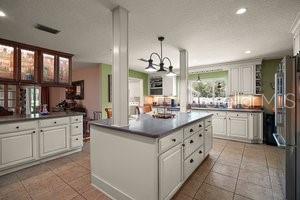 2121 SUZANNE DR, MOUNT DORA, FL, 32757