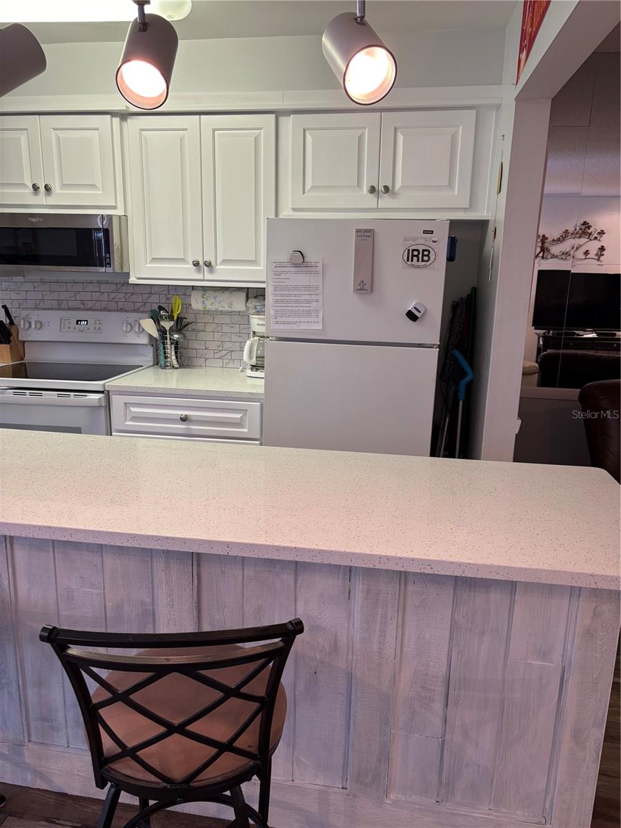 14531 WALSINGHAM RD #204, LARGO, FL, 33774