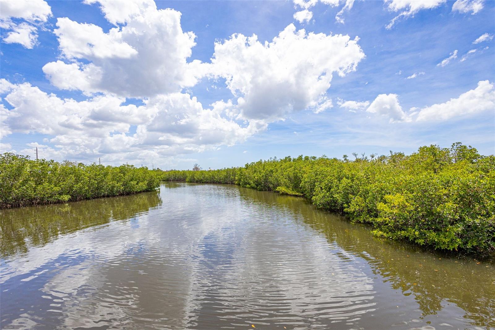 610 RIVIERA DUNES WAY #203, PALMETTO, FL, 34221