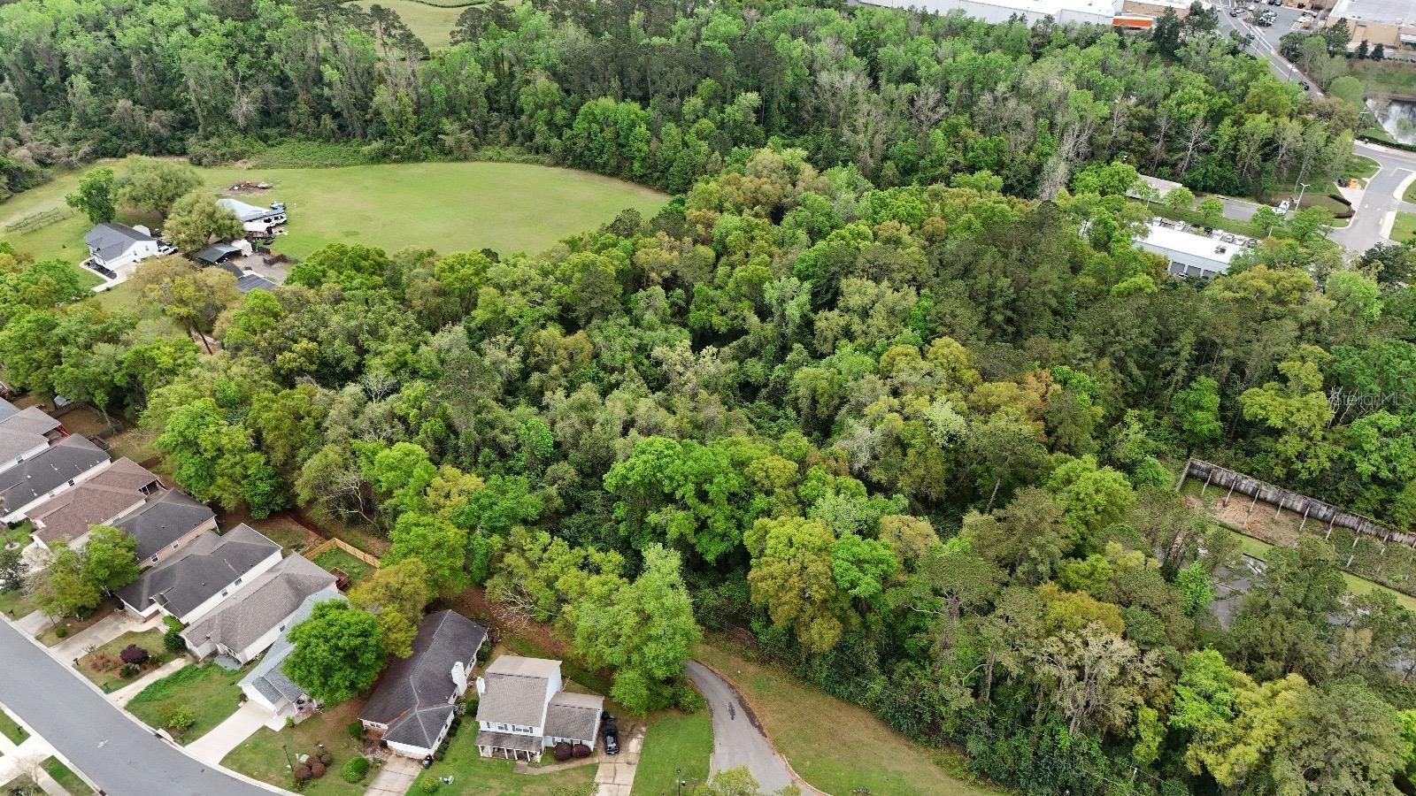 ALEXIS CT, TALLAHASSEE, FL, 32308