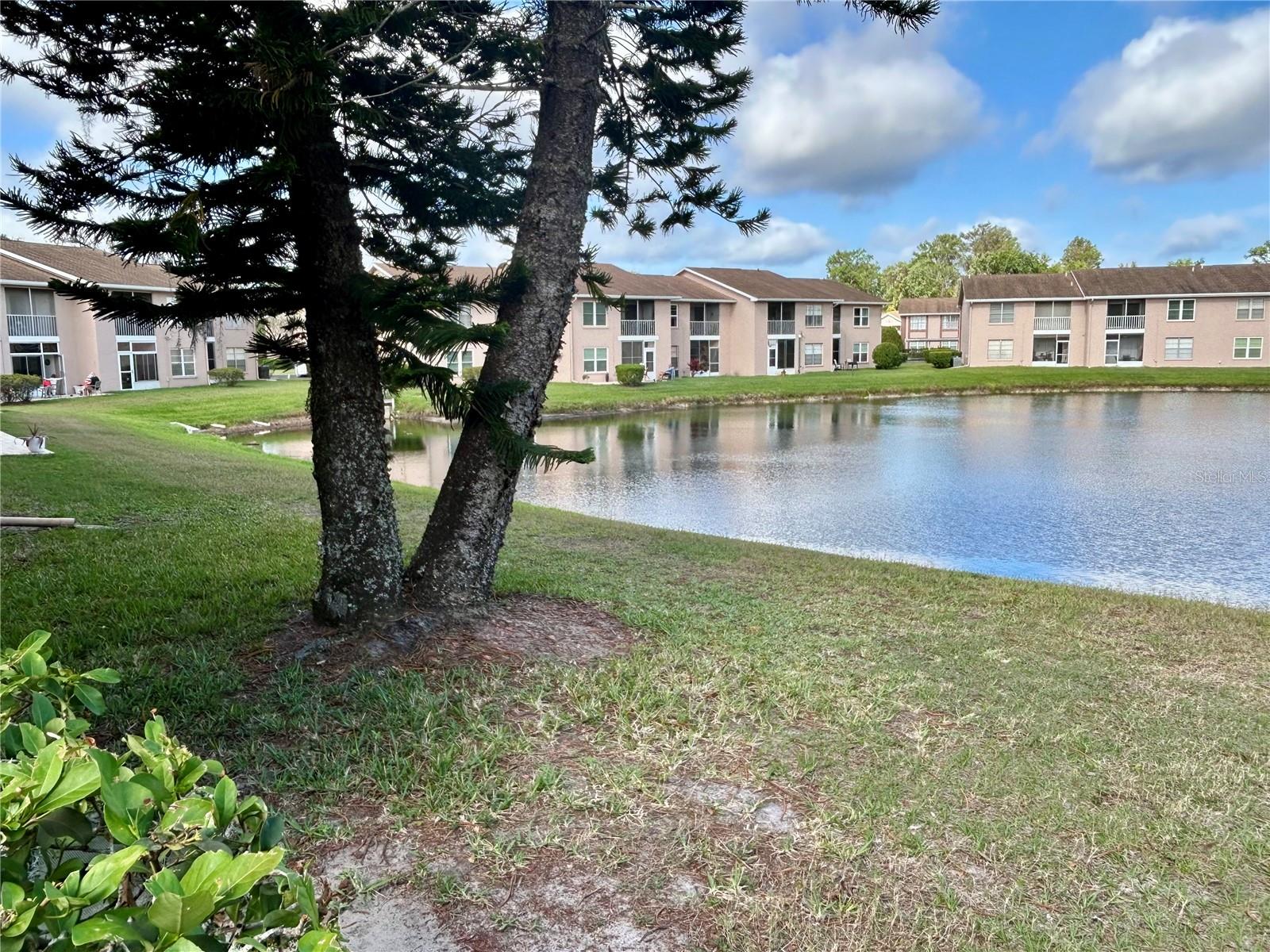 6527 SPRING FLOWER DR #24, NEW PORT RICHEY, FL, 34653