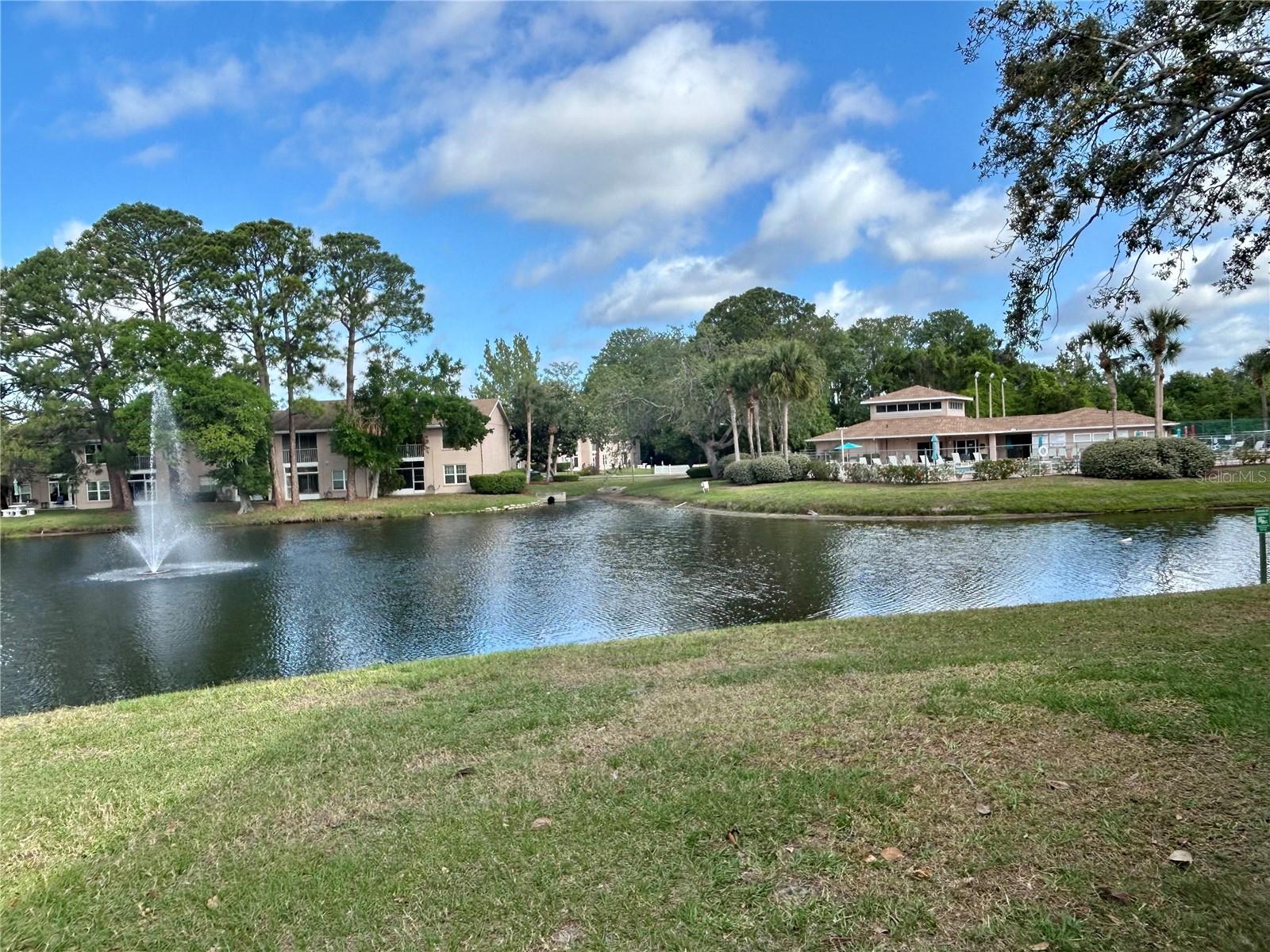 6527 SPRING FLOWER DR #24, NEW PORT RICHEY, FL, 34653