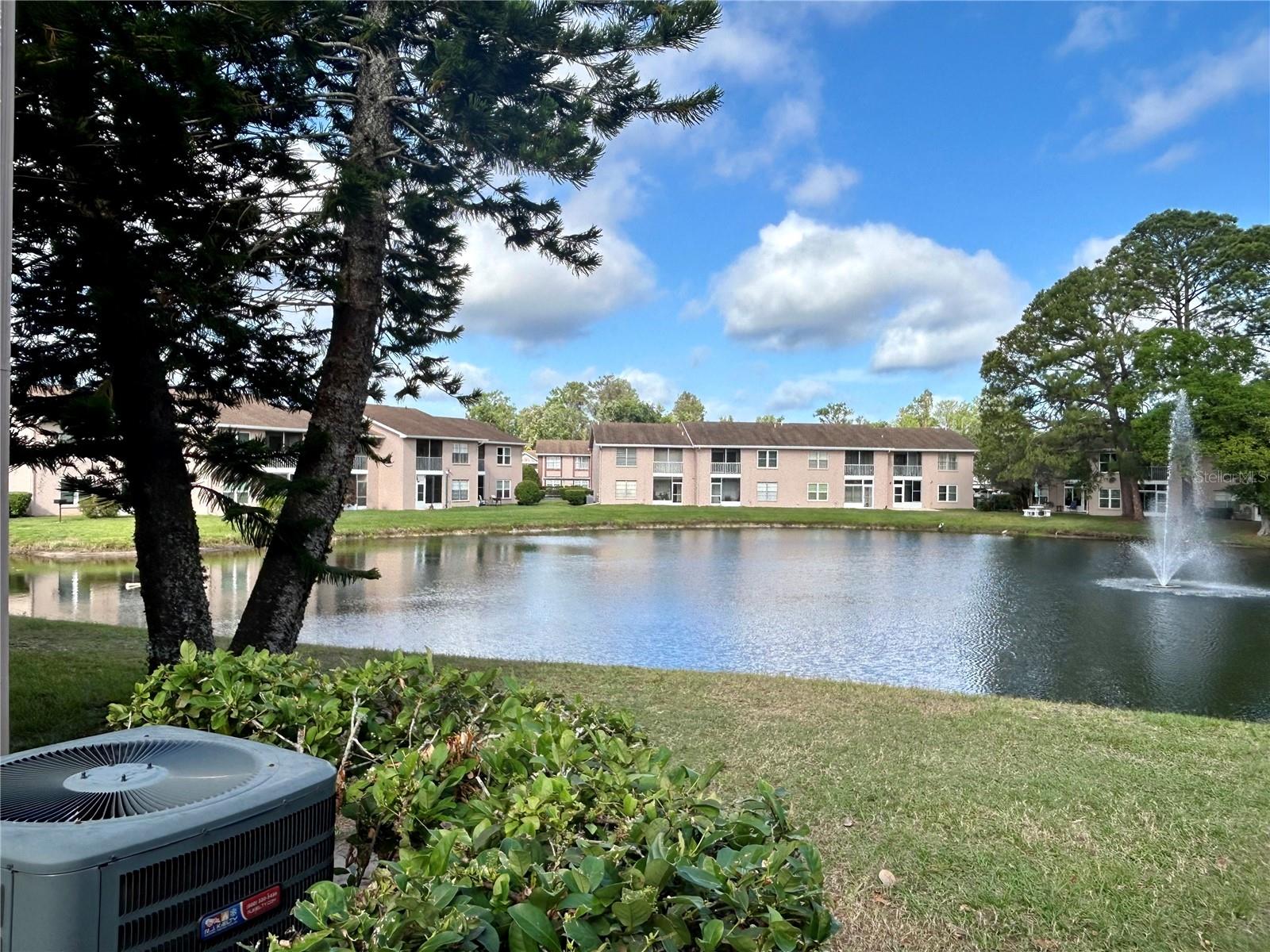 6527 SPRING FLOWER DR #24, NEW PORT RICHEY, FL, 34653