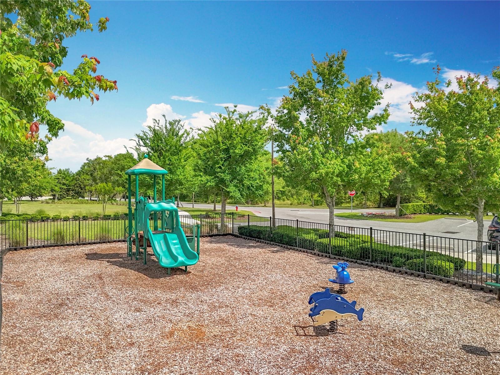 16588 CENTIPEDE ST, CLERMONT, FL, 34714