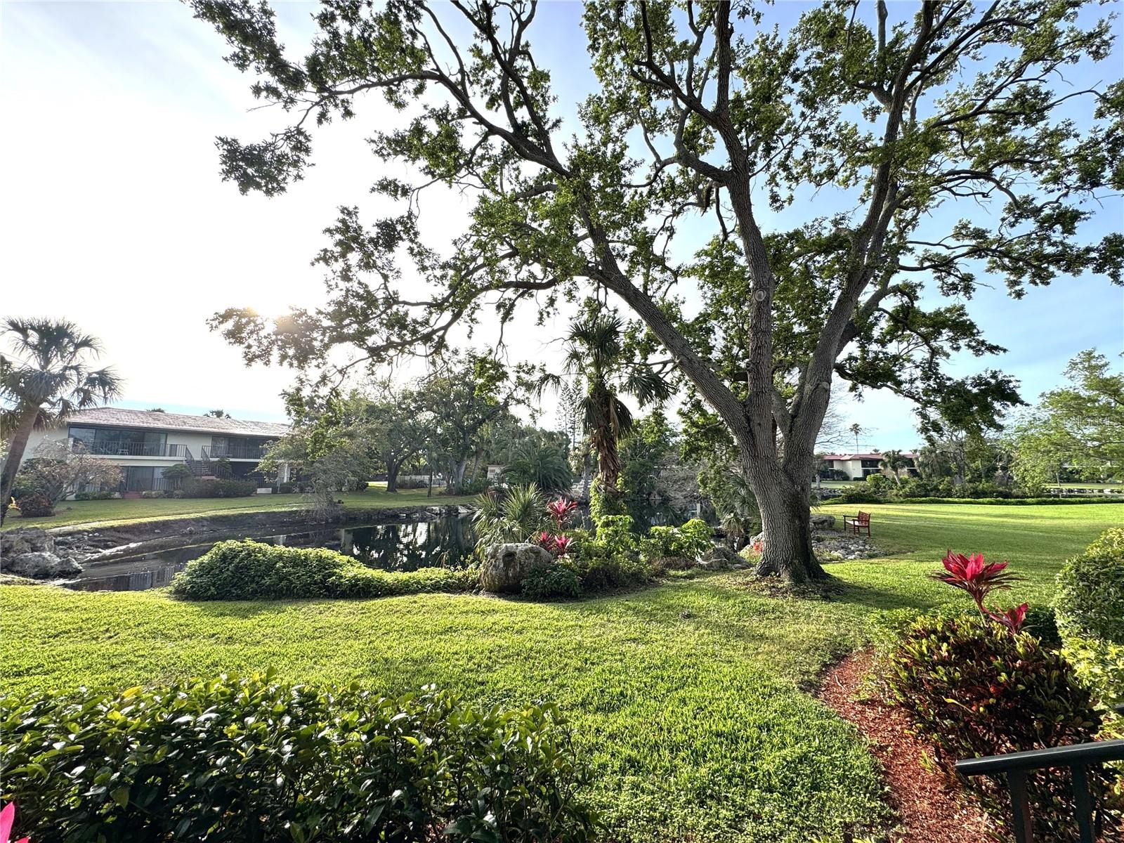 6466 SEAGULL DR #323, BRADENTON, FL, 34210