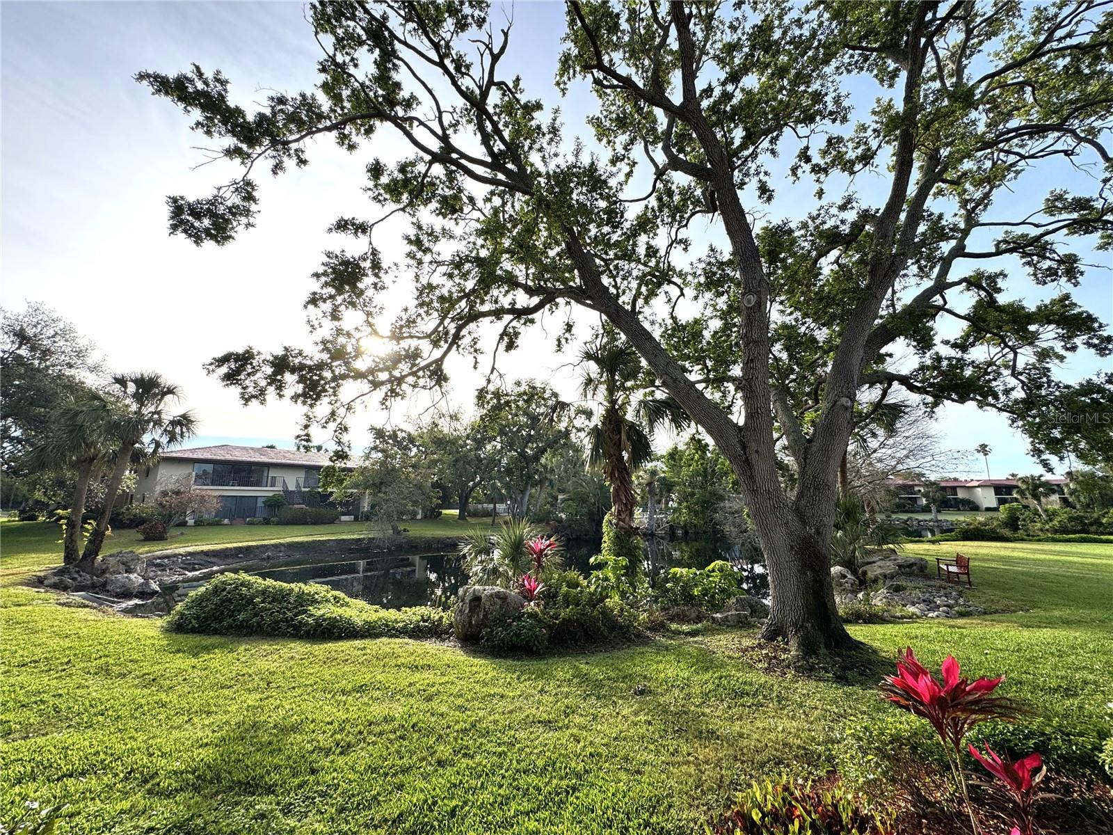 6466 SEAGULL DR #323, BRADENTON, FL, 34210