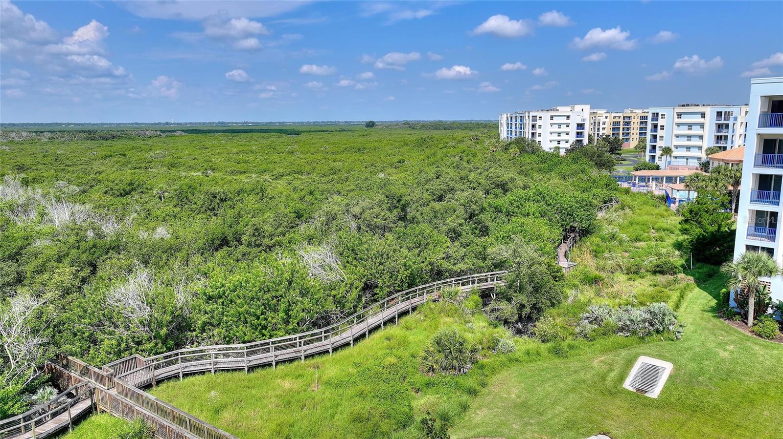 5300 S ATLANTIC AVE #2-505, NEW SMYRNA BEACH, FL, 32169