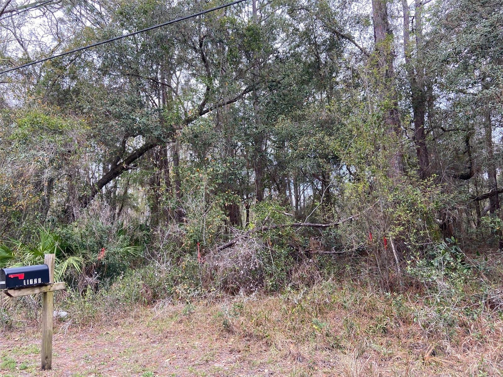 00 PURDUE ST, NEW PORT RICHEY, FL, 34654
