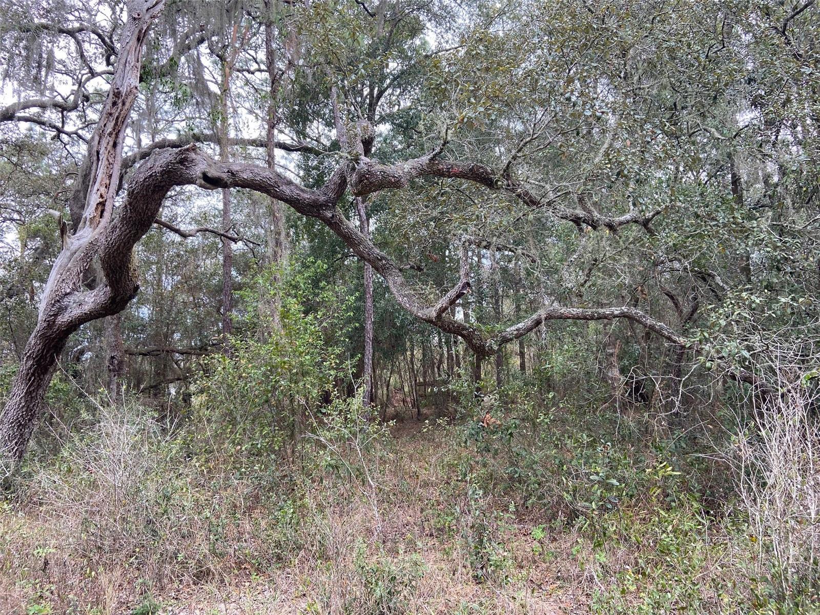 00 PURDUE ST, NEW PORT RICHEY, FL, 34654