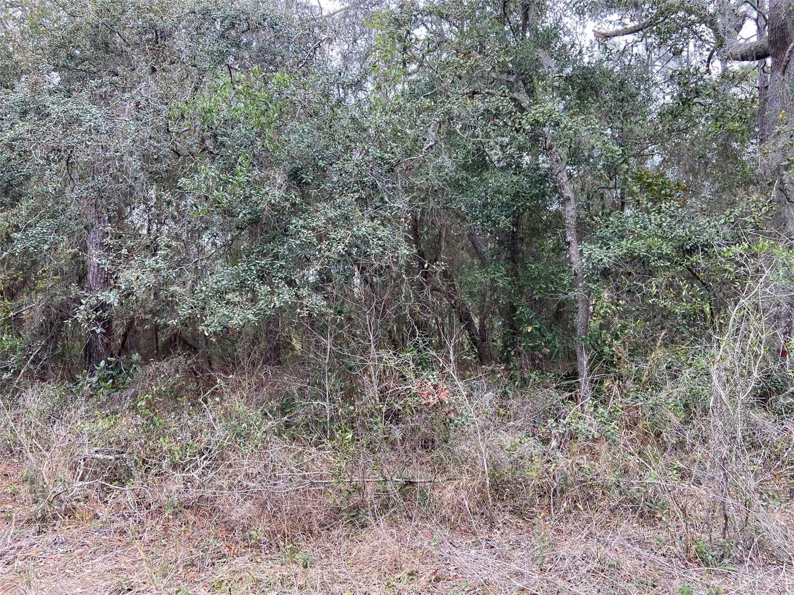 00 PURDUE ST, NEW PORT RICHEY, FL, 34654