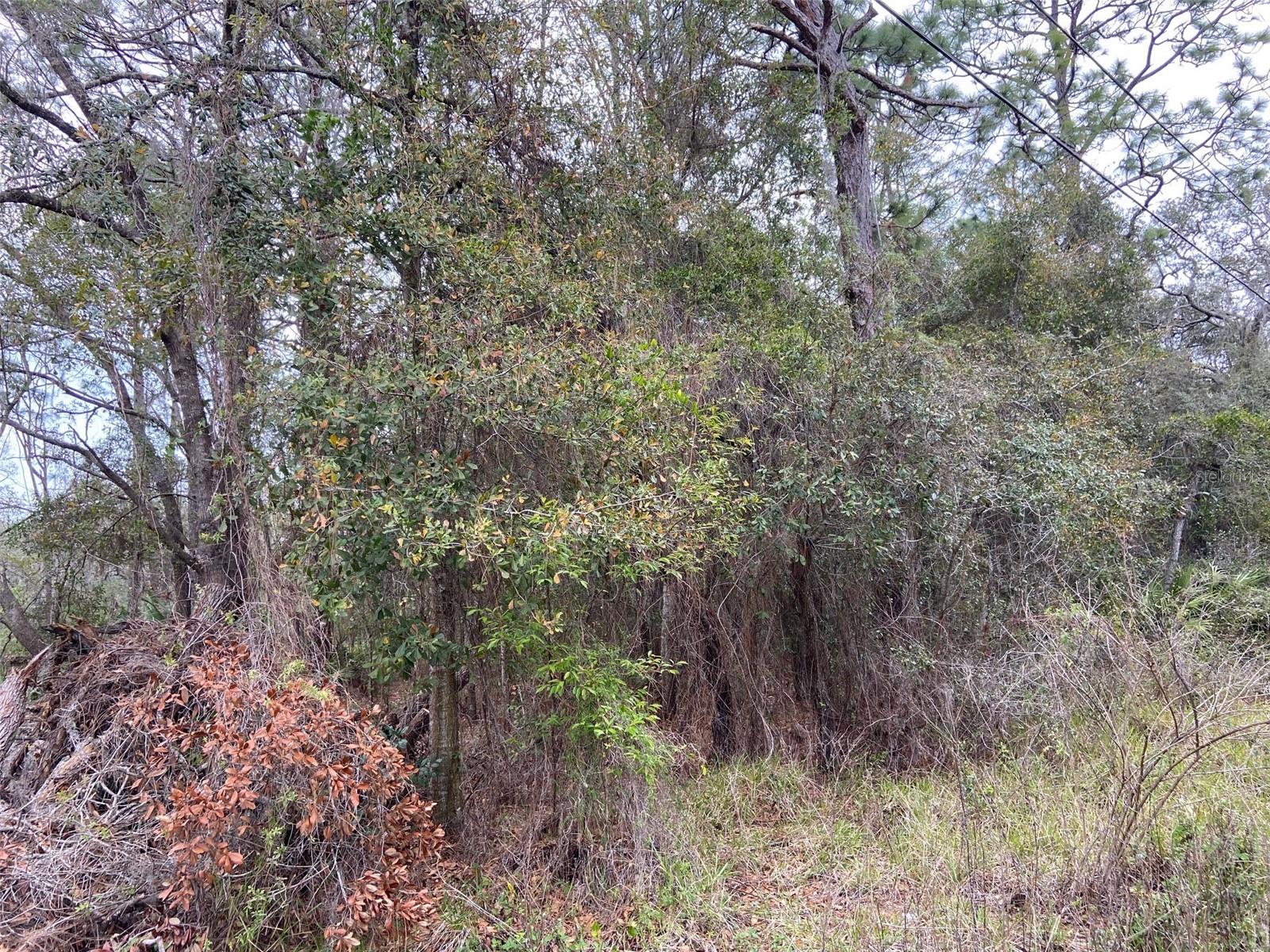 00 PURDUE ST, NEW PORT RICHEY, FL, 34654