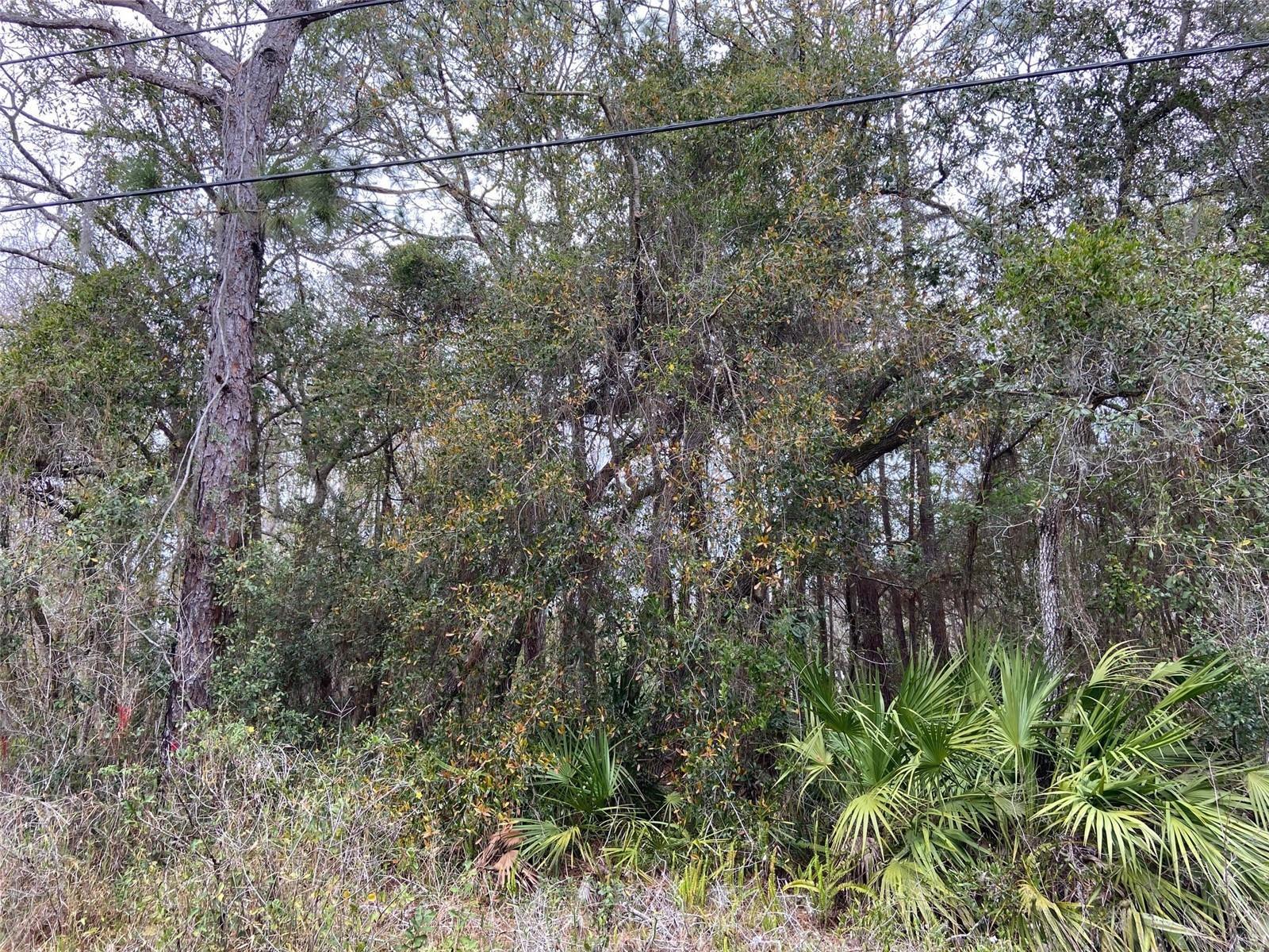 00 PURDUE ST, NEW PORT RICHEY, FL, 34654