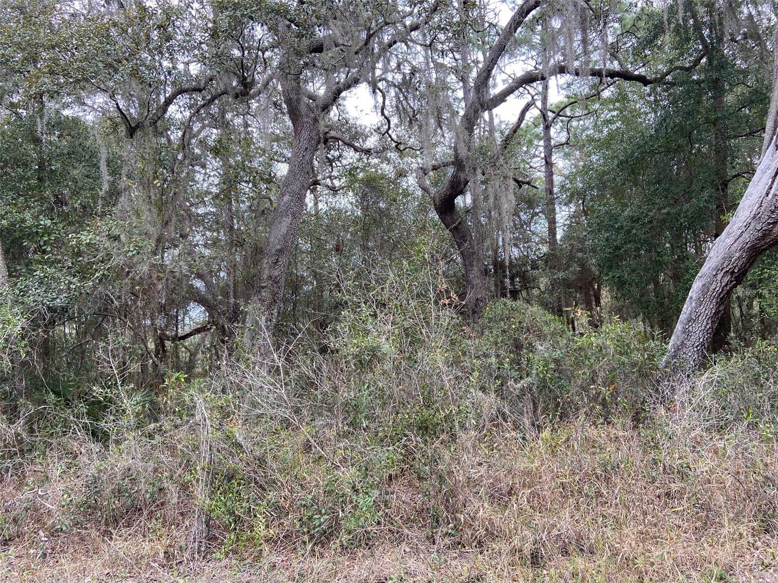 00 PURDUE ST, NEW PORT RICHEY, FL, 34654
