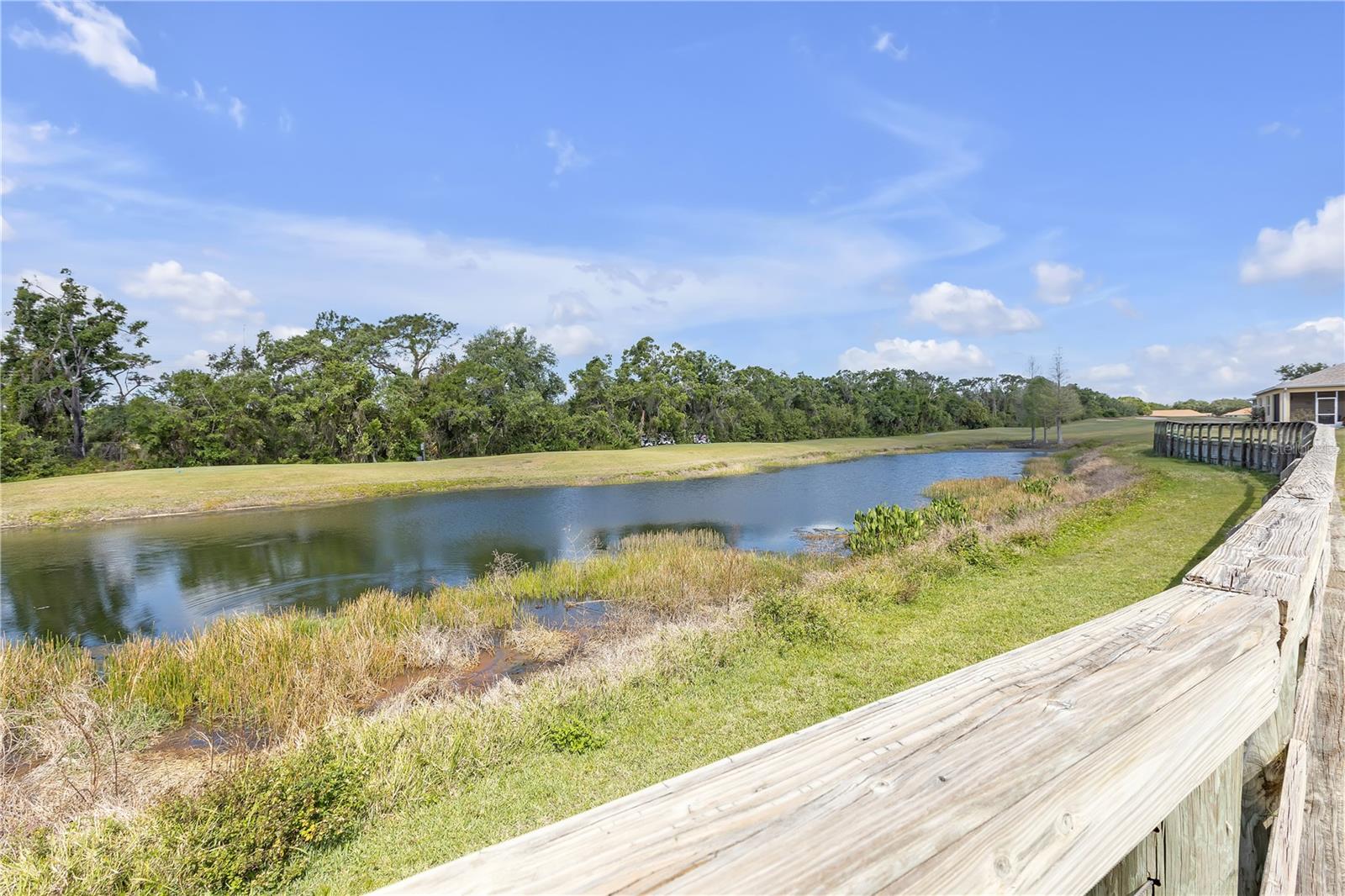 2419 RICHMOND GREENS CT, SUN CITY CENTER, FL, 33573