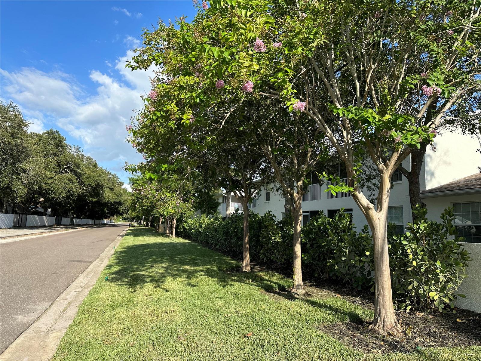 3890 34TH AVE S #101, ST PETERSBURG, FL, 33711