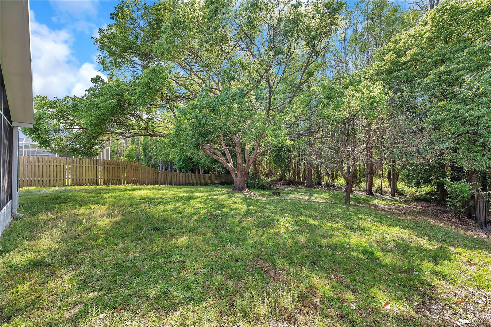 19728 MORDEN BLUSH DR, LUTZ, FL, 33558