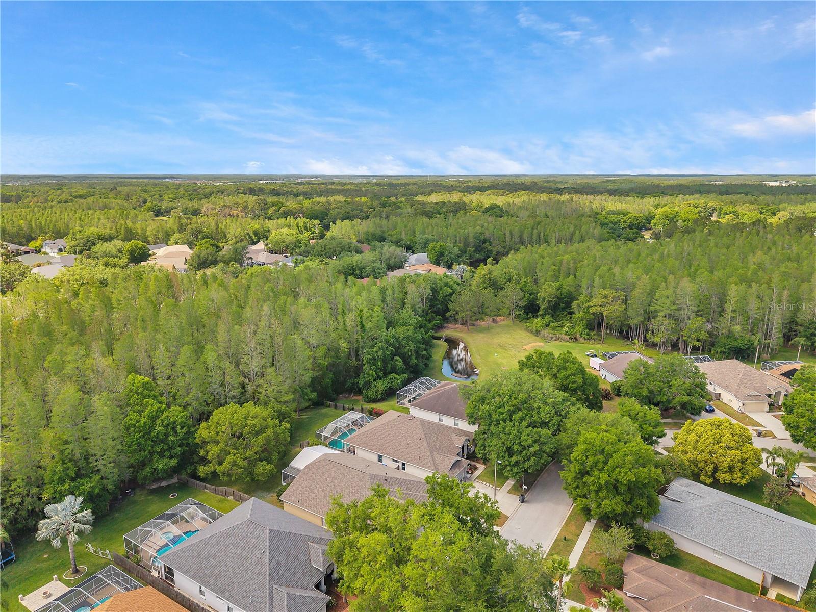 19728 MORDEN BLUSH DR, LUTZ, FL, 33558