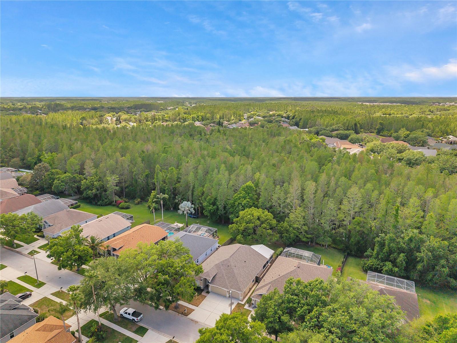 19728 MORDEN BLUSH DR, LUTZ, FL, 33558