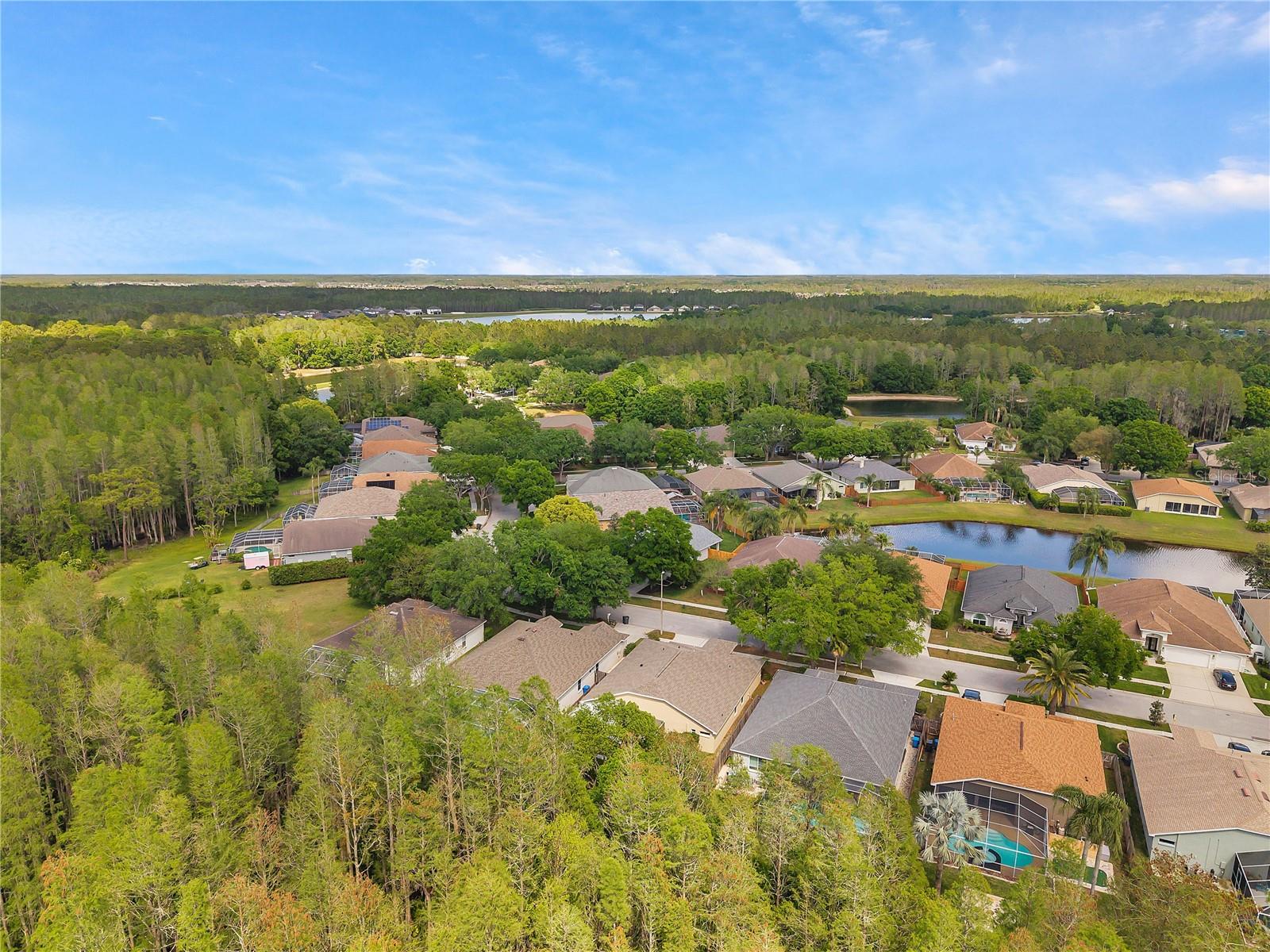 19728 MORDEN BLUSH DR, LUTZ, FL, 33558