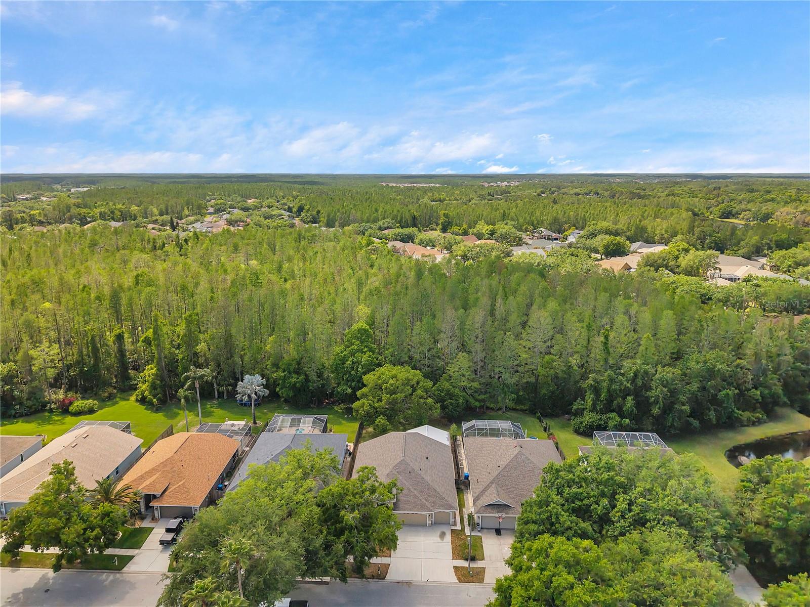 19728 MORDEN BLUSH DR, LUTZ, FL, 33558