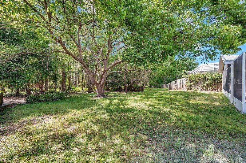 19728 MORDEN BLUSH DR, LUTZ, FL, 33558