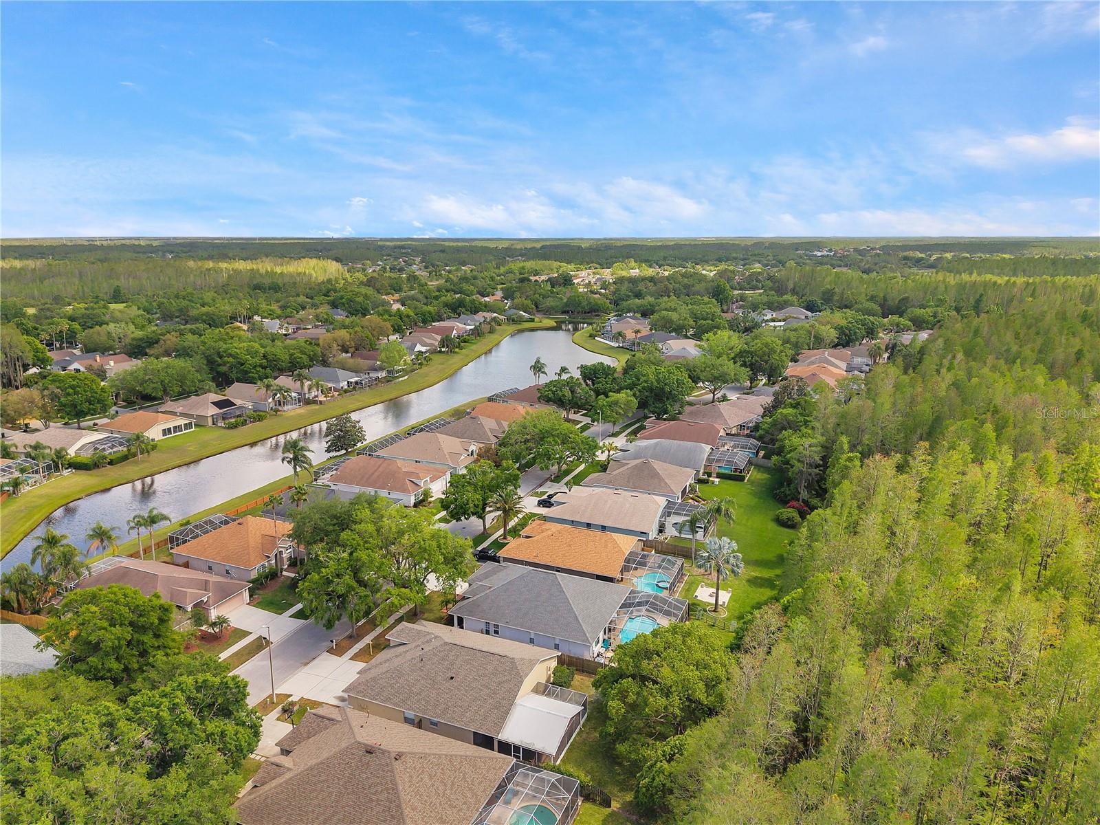 19728 MORDEN BLUSH DR, LUTZ, FL, 33558