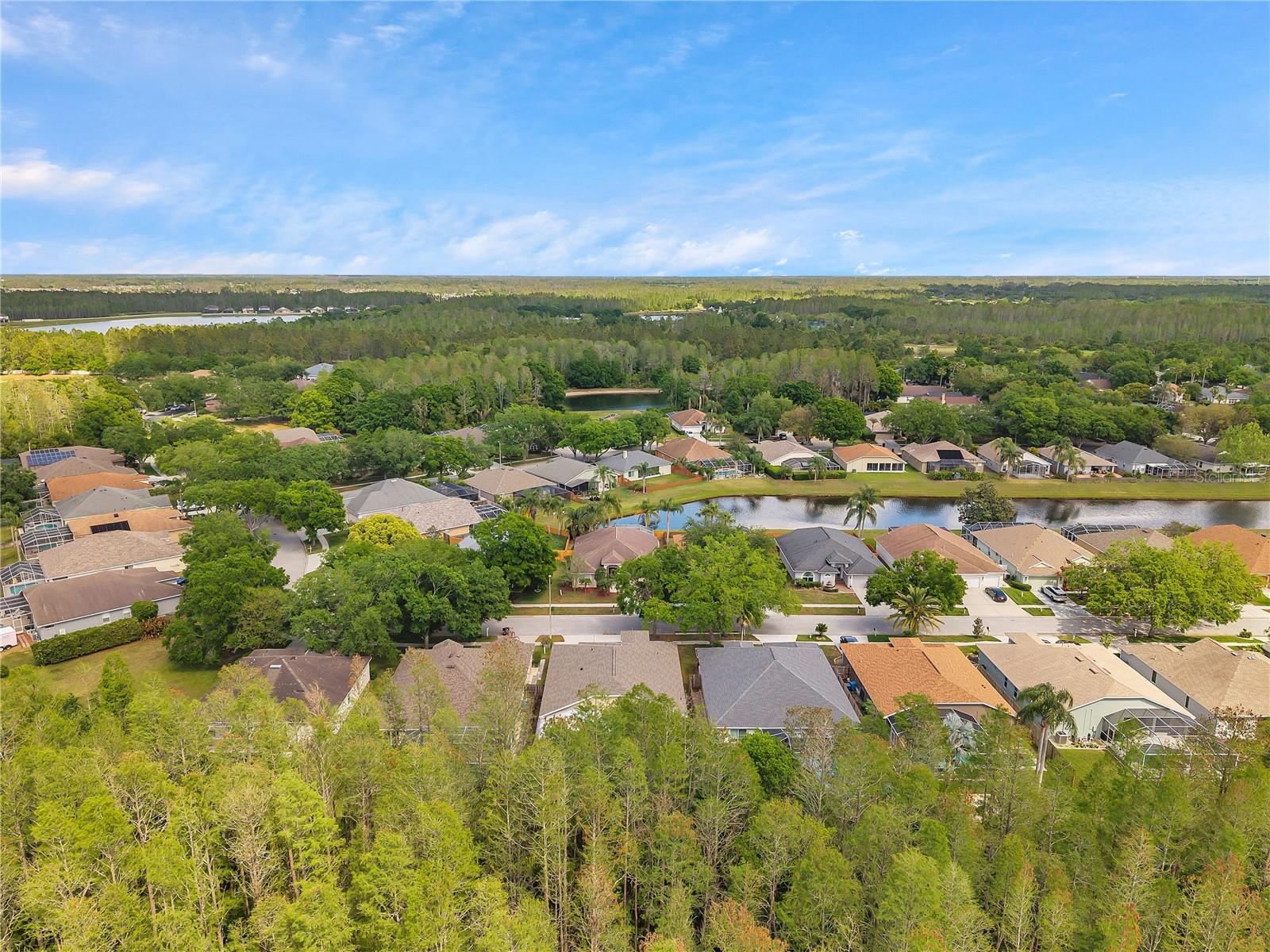 19728 MORDEN BLUSH DR, LUTZ, FL, 33558