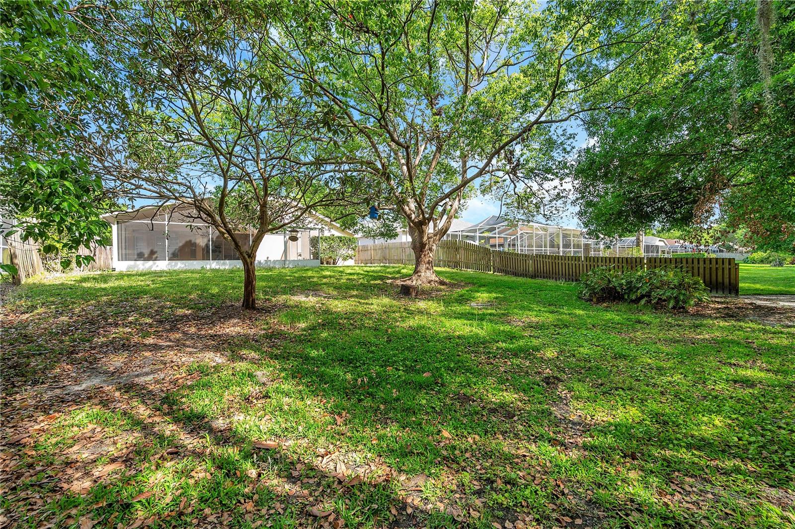 19728 MORDEN BLUSH DR, LUTZ, FL, 33558