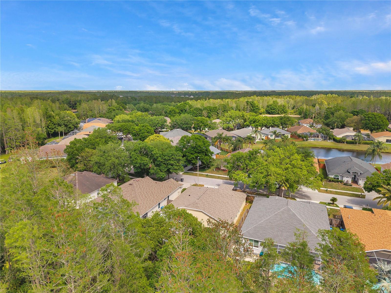 19728 MORDEN BLUSH DR, LUTZ, FL, 33558