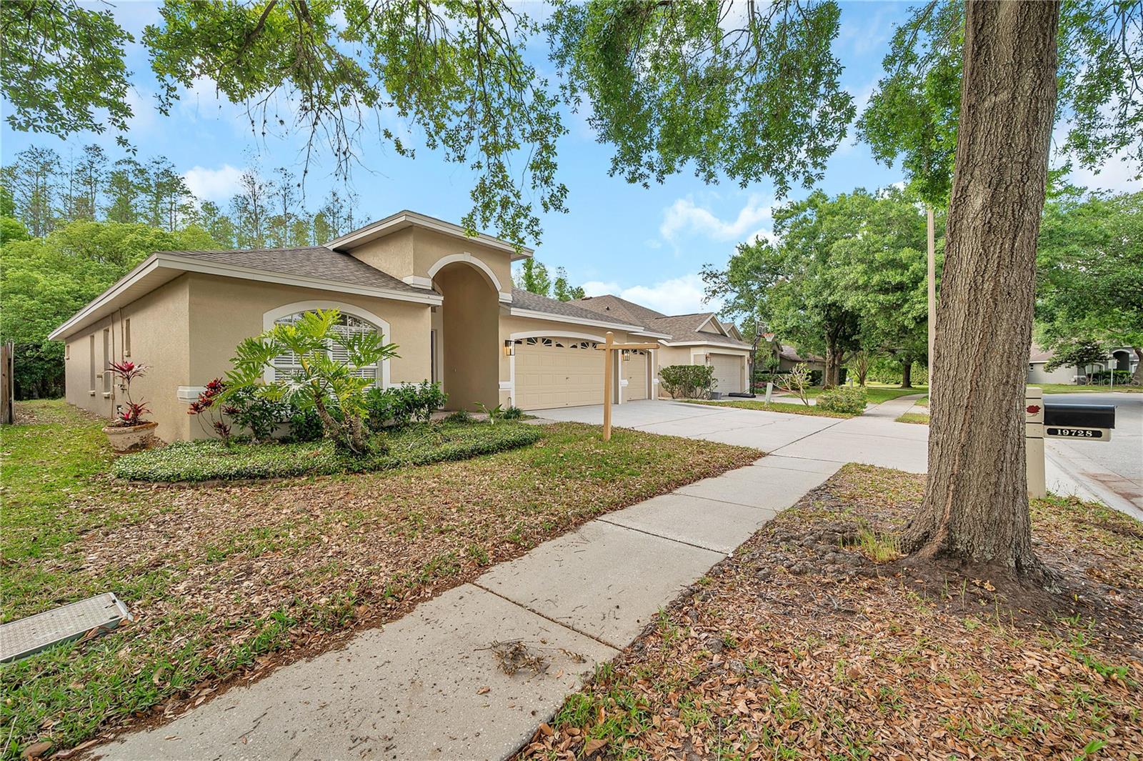 19728 MORDEN BLUSH DR, LUTZ, FL, 33558