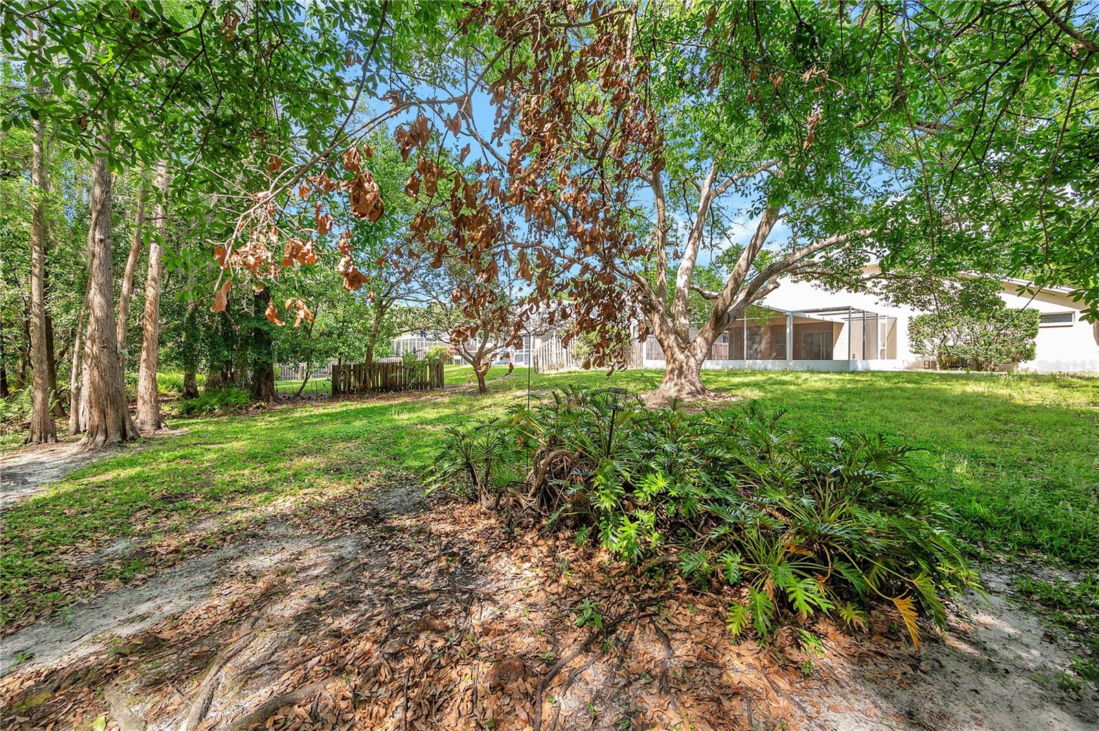 19728 MORDEN BLUSH DR, LUTZ, FL, 33558