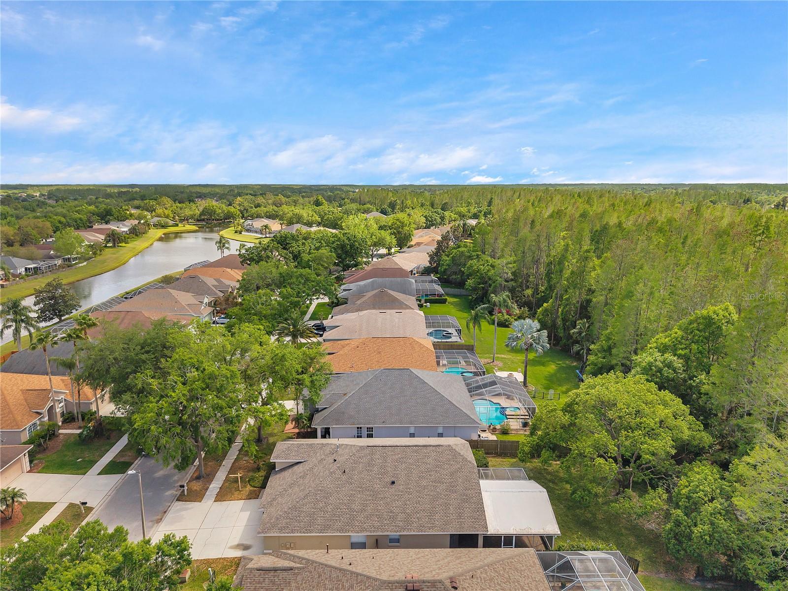 19728 MORDEN BLUSH DR, LUTZ, FL, 33558