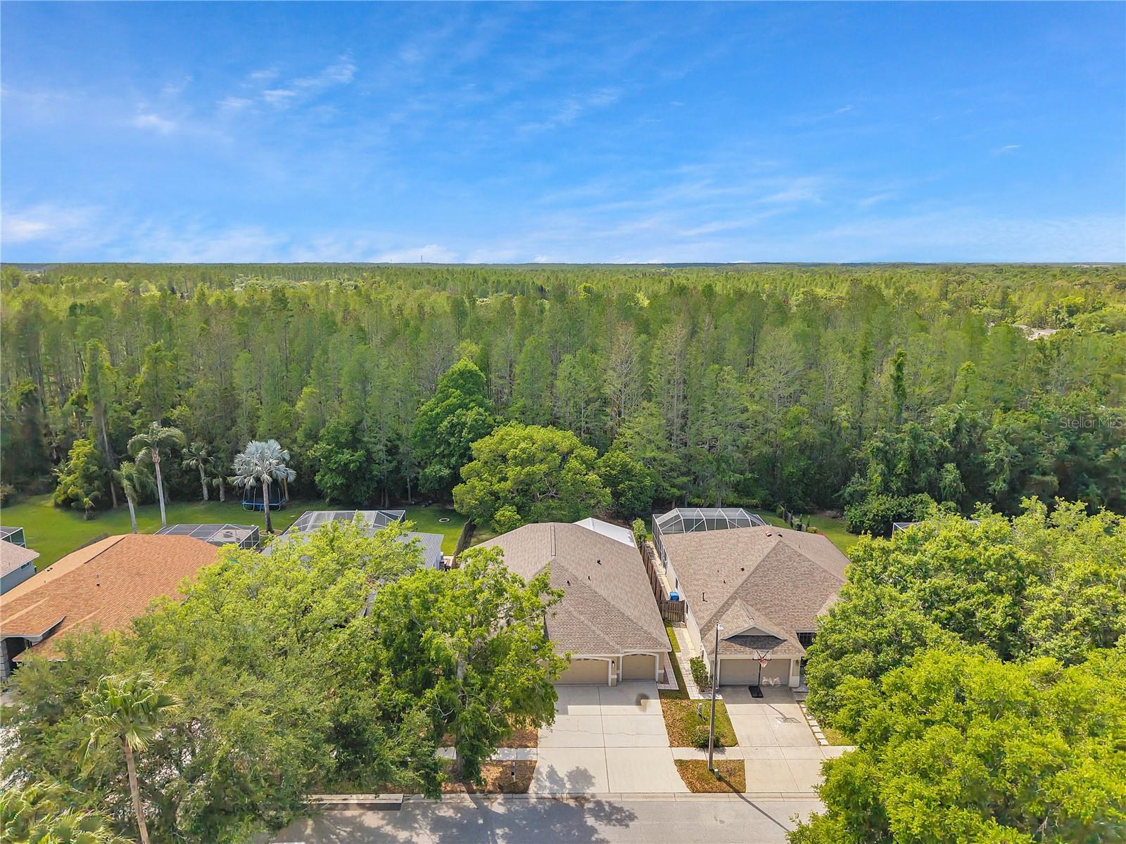 19728 MORDEN BLUSH DR, LUTZ, FL, 33558
