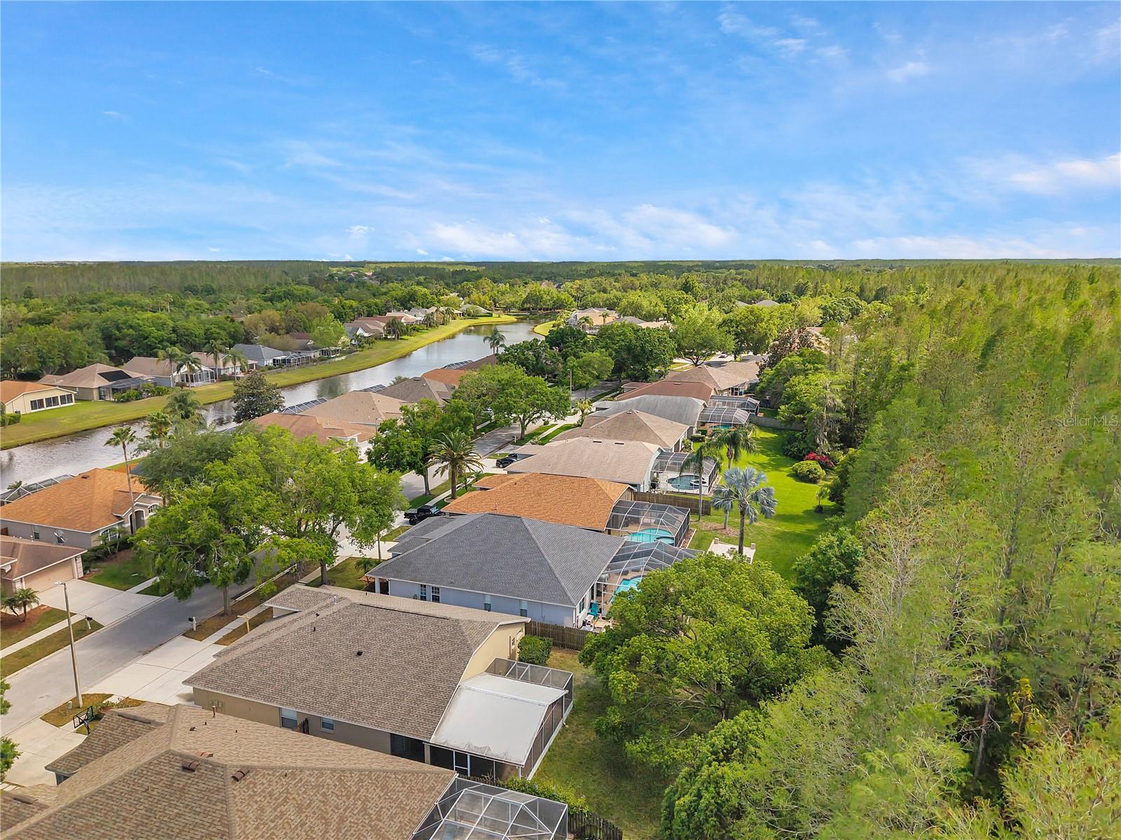 19728 MORDEN BLUSH DR, LUTZ, FL, 33558