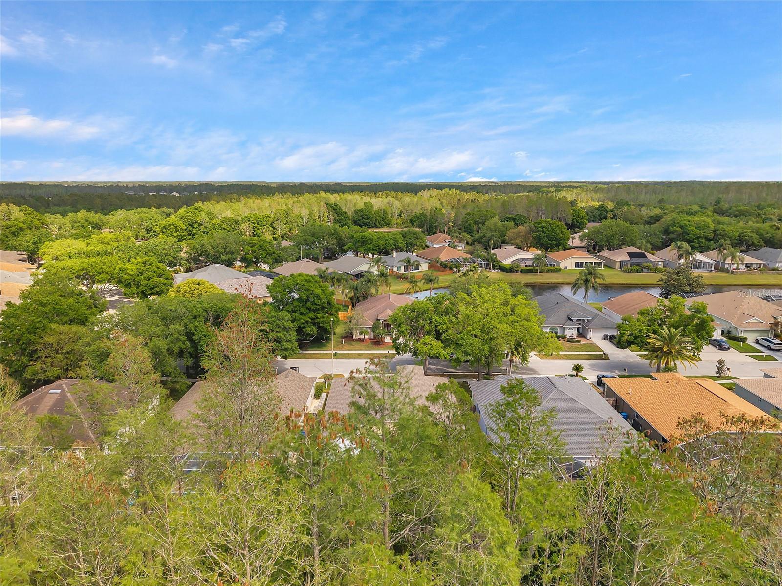 19728 MORDEN BLUSH DR, LUTZ, FL, 33558