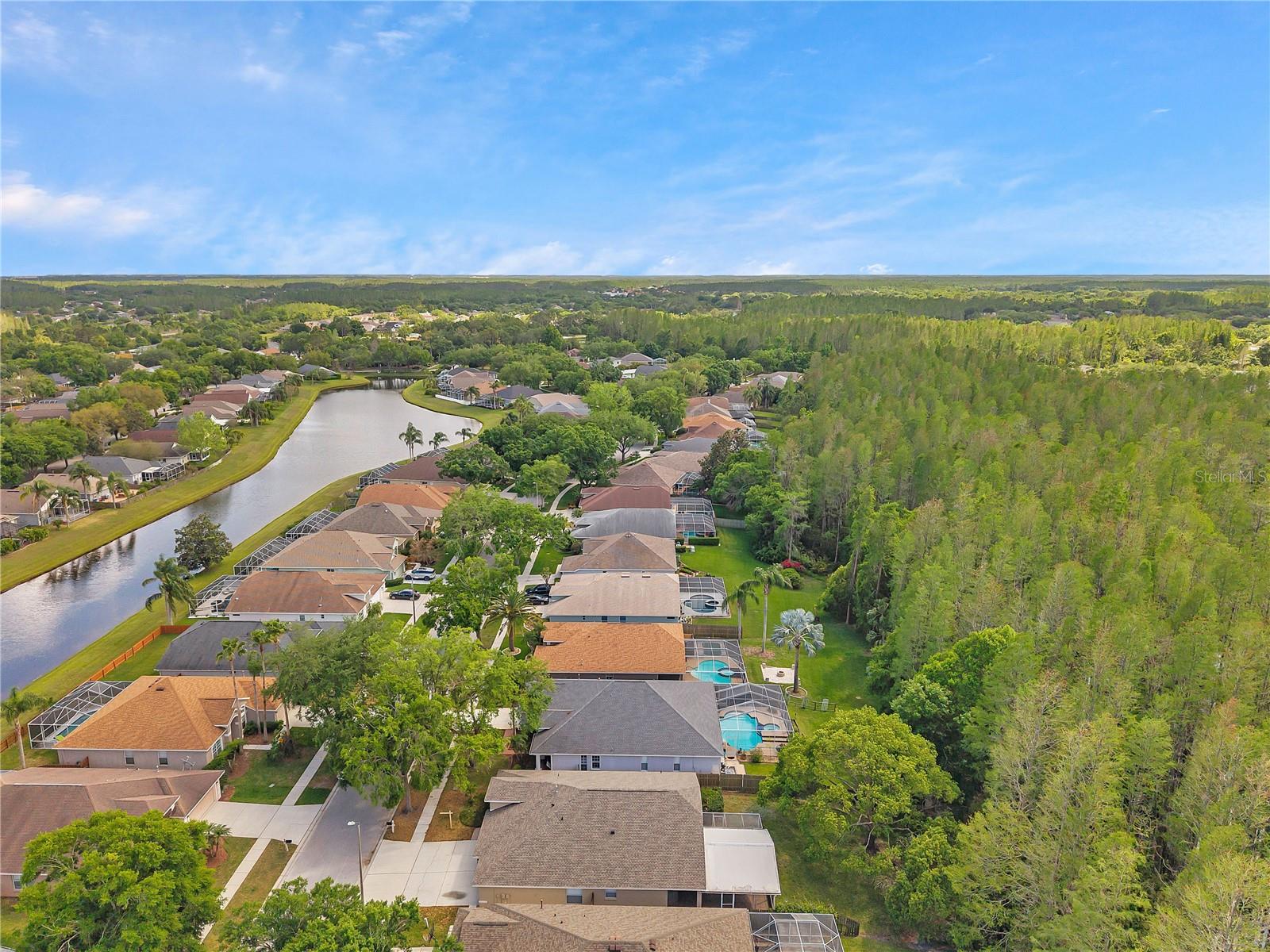 19728 MORDEN BLUSH DR, LUTZ, FL, 33558